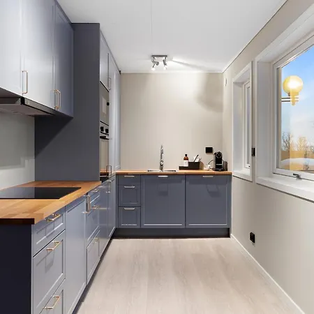 Enter - The Mountain View *