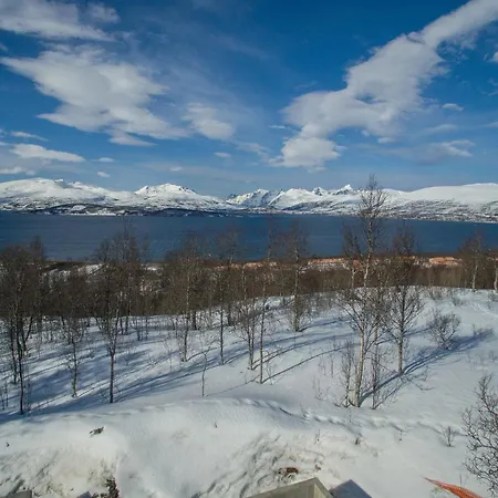 Enter - The Mountain View