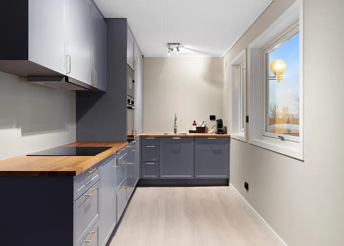 Enter - The Mountain View *