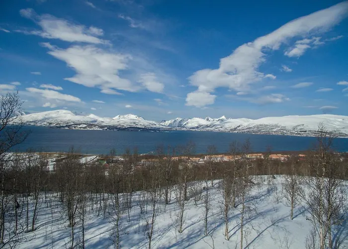 Enter - The Mountain View Leilighet